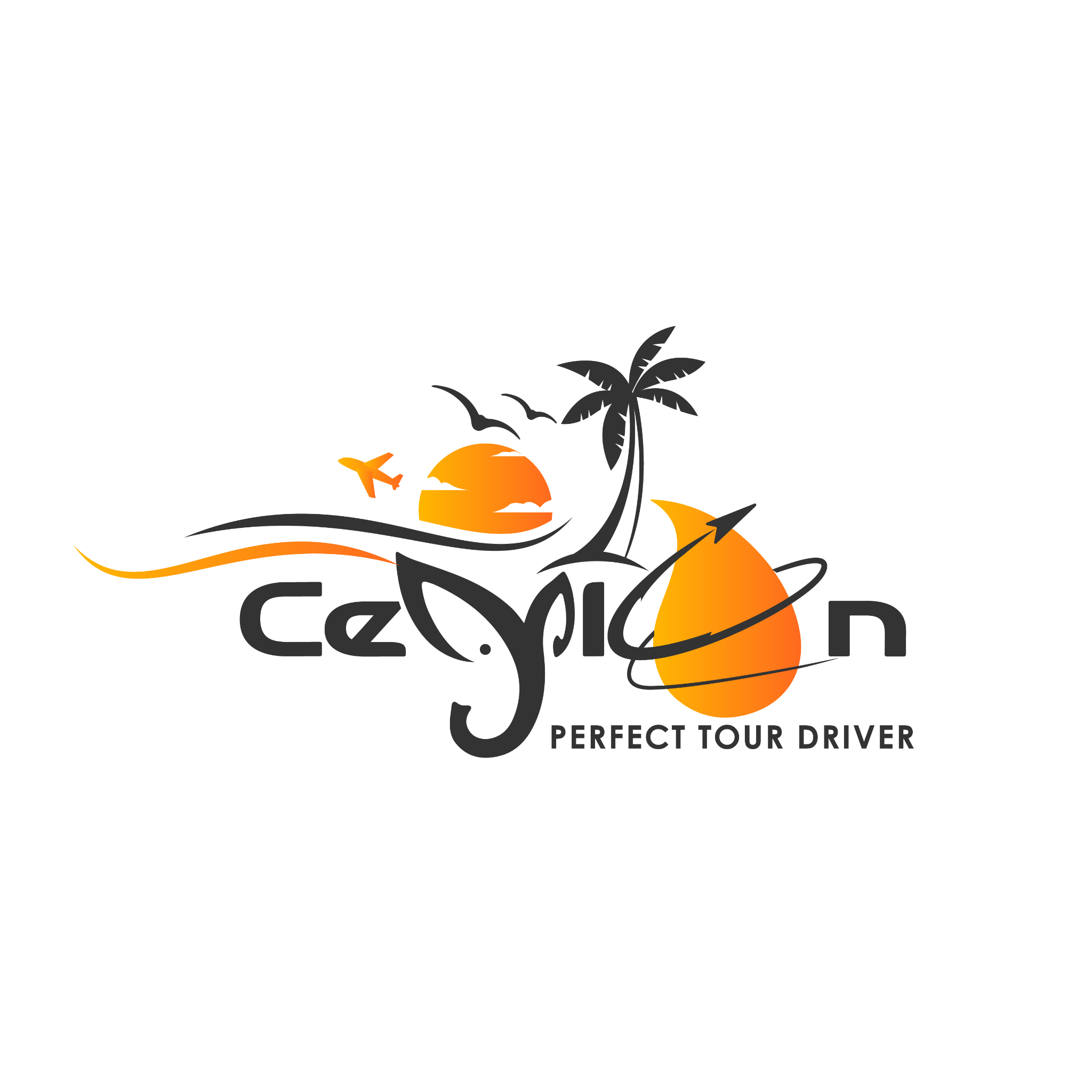 Ceylon Perfect Tour Driver